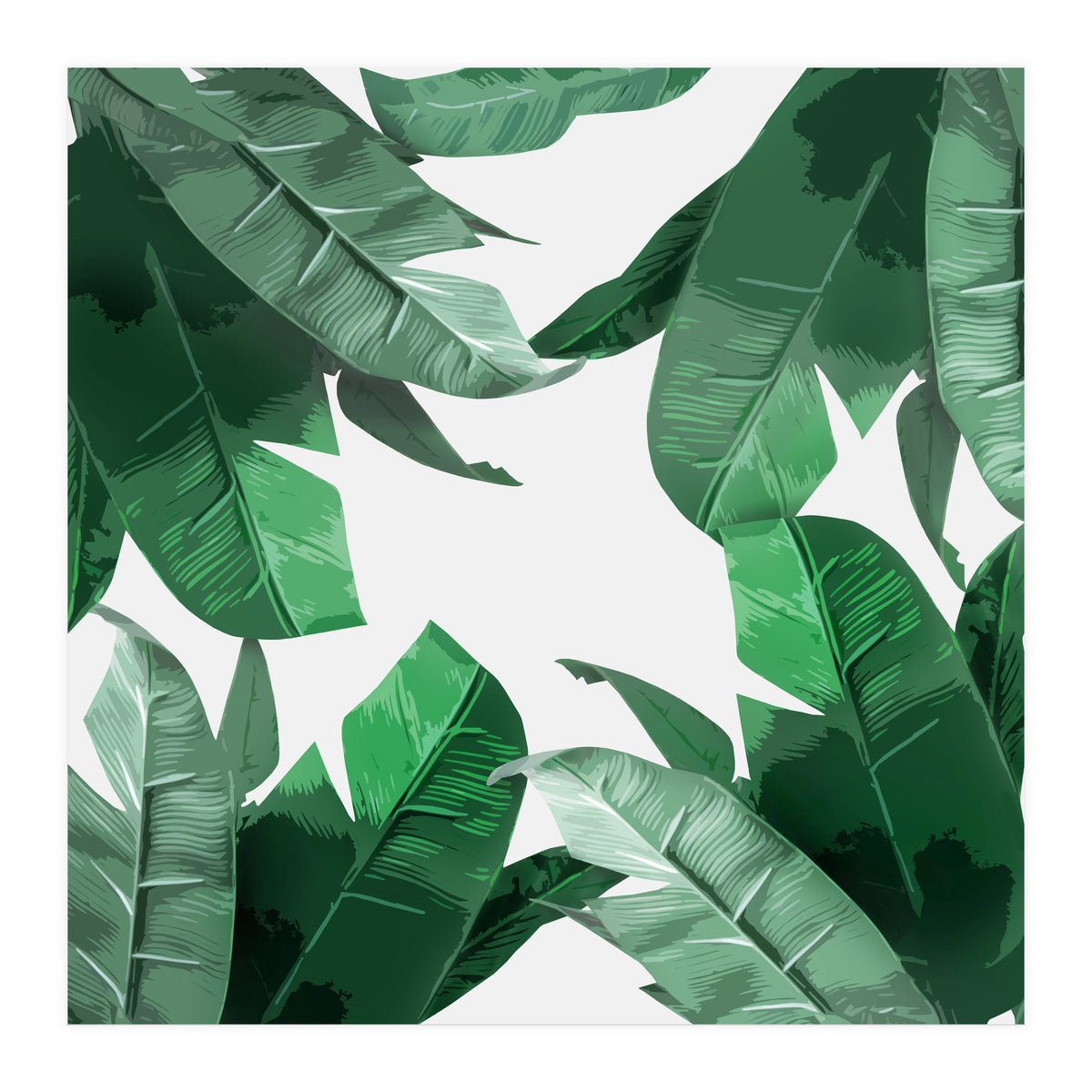 Tropical Palm Print (Print Only)