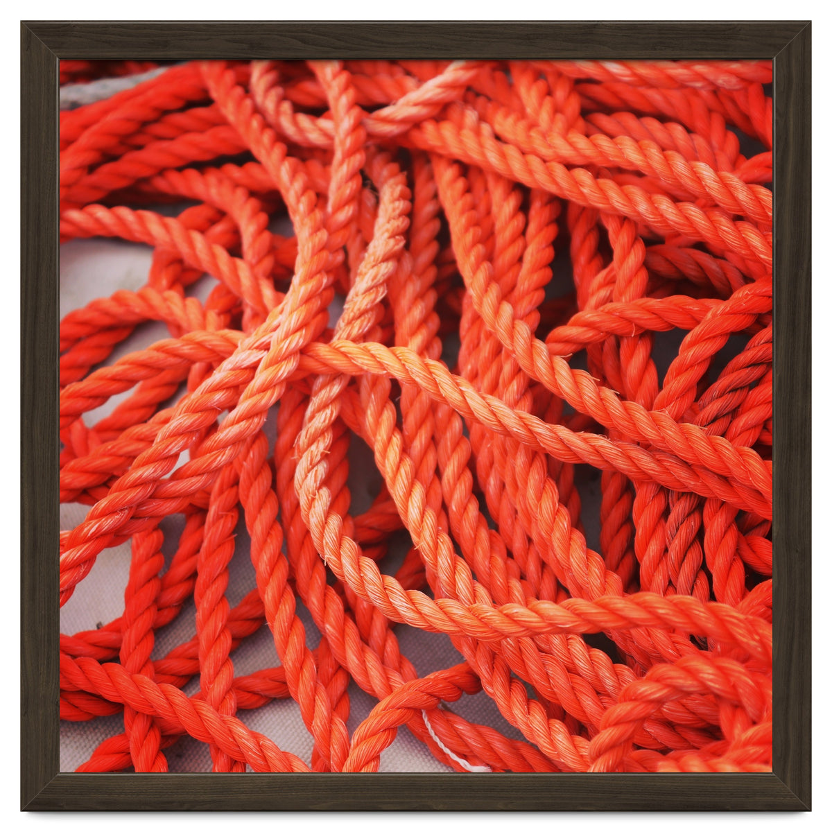 Orange ropes