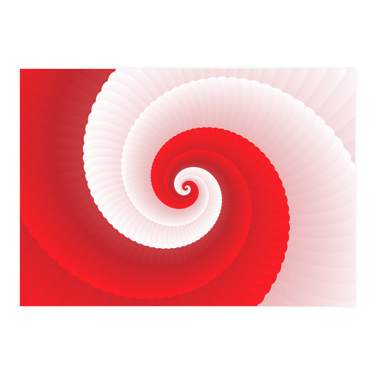 Red Spring Loop (Print Only)