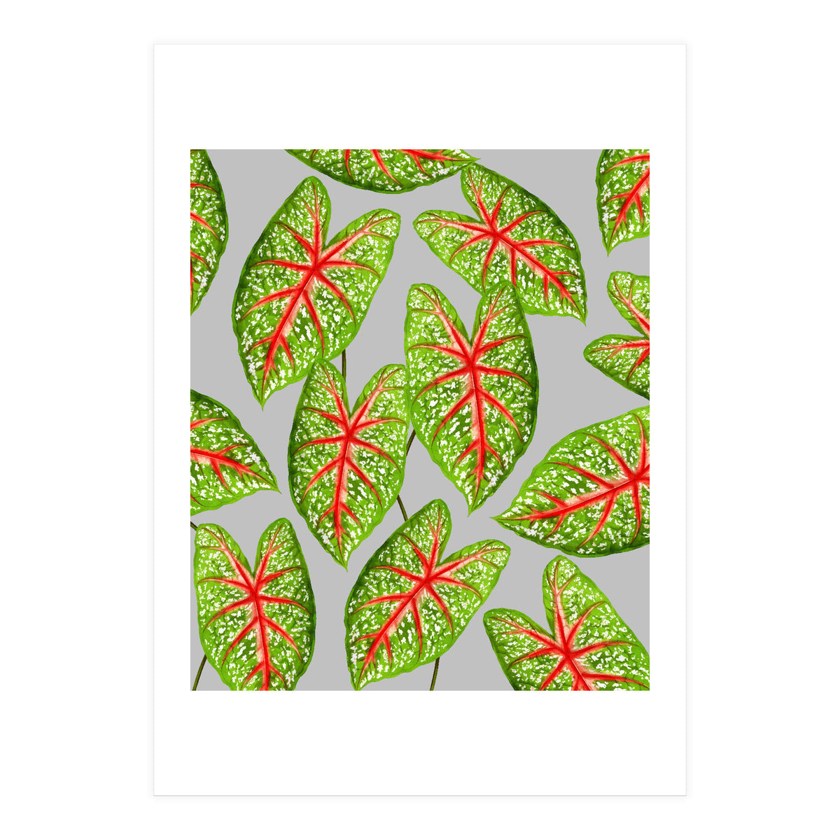 Expression Of Peace (Print Only)