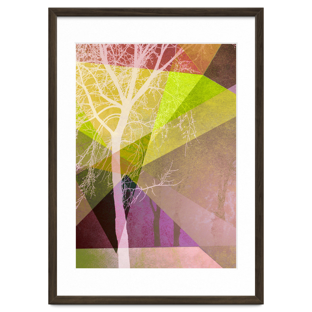 P22 Trees And Triangles