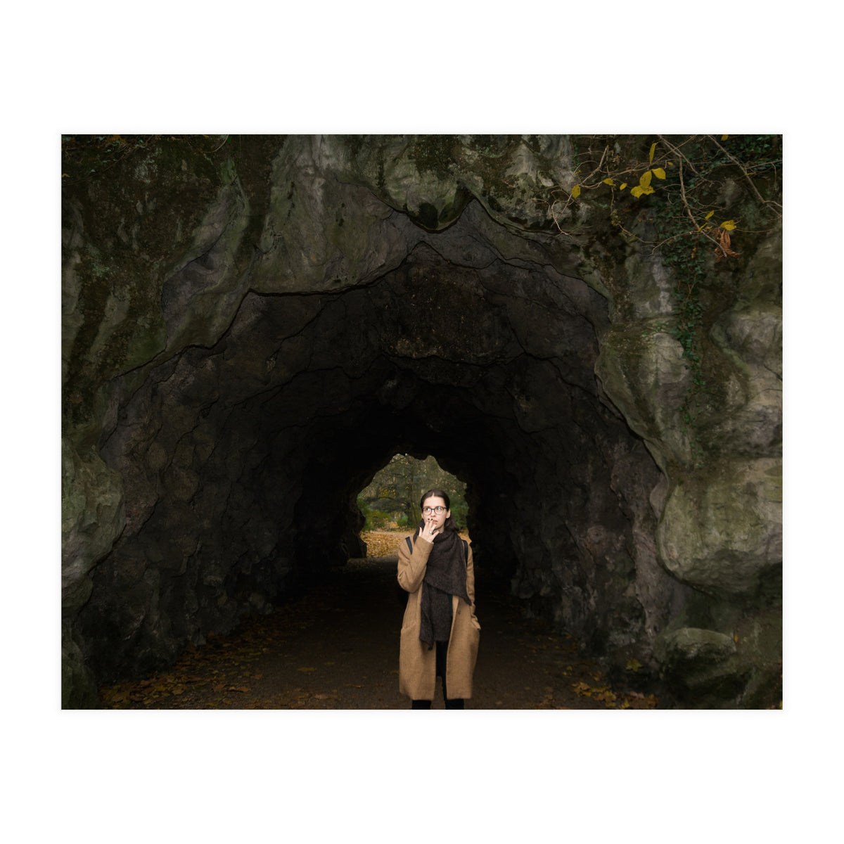 Transition from Summer to Winter (Print Only)