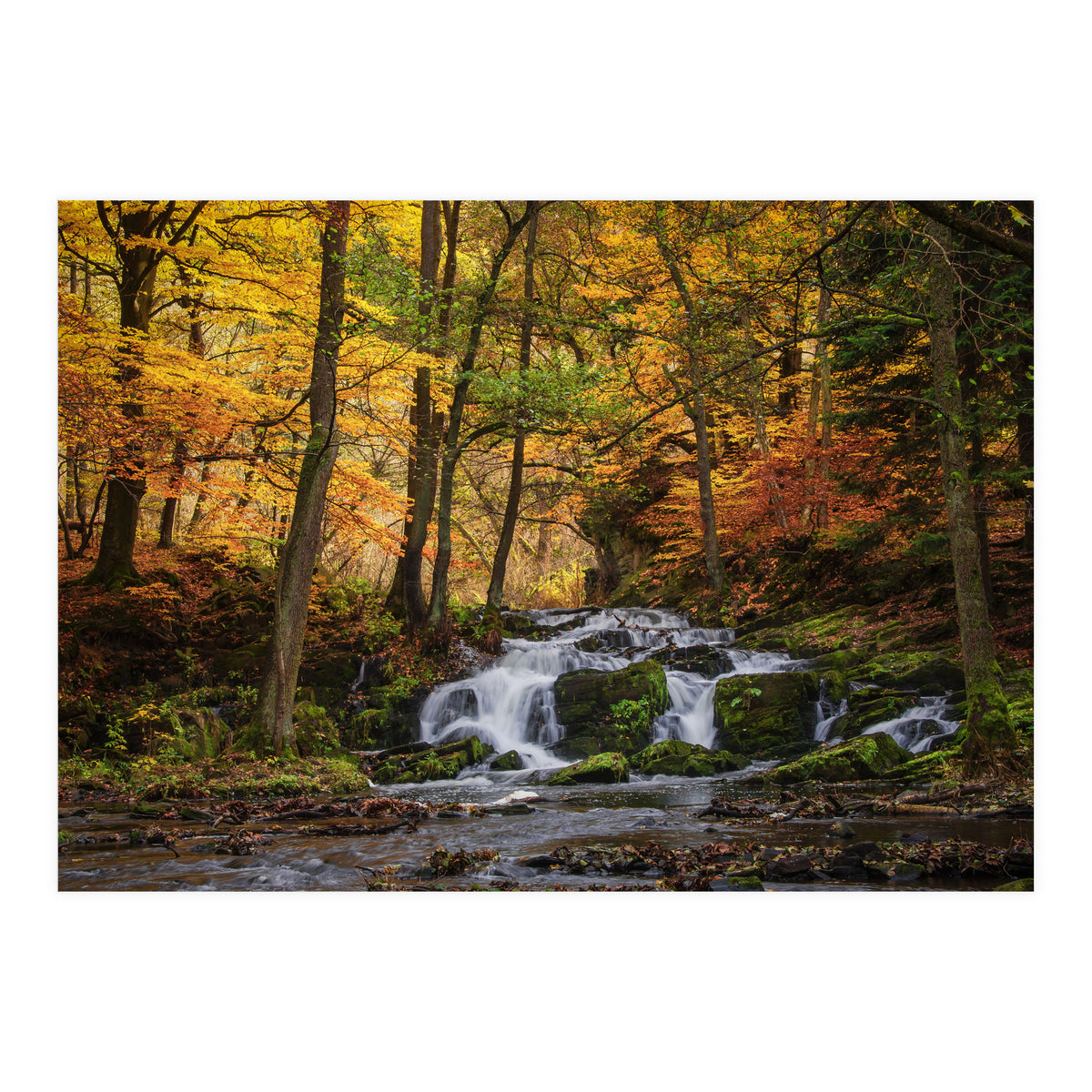 Selkewaterfal (Print Only)