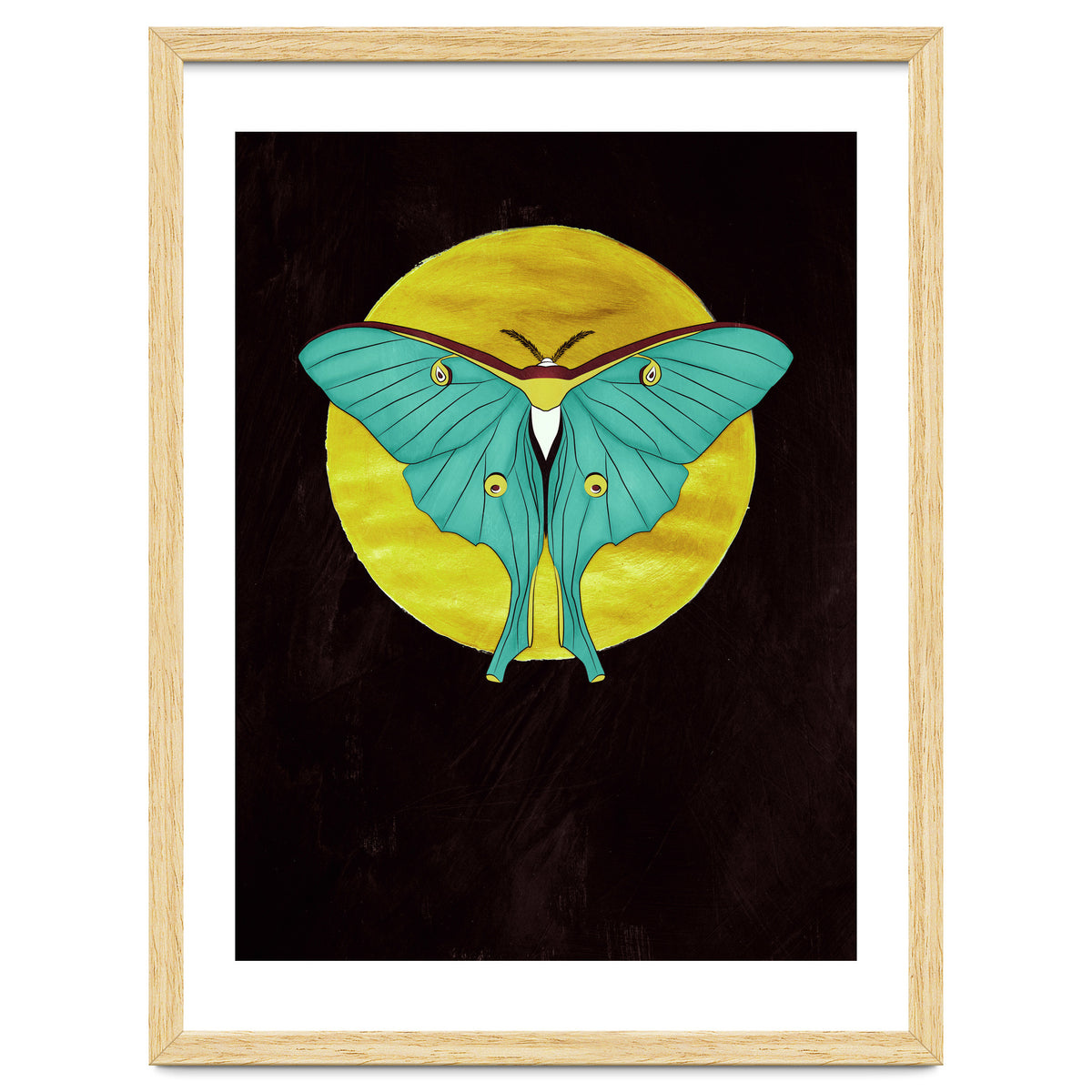 Luna Moth Moon