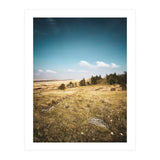 Dartmoor  (Print Only) thumbnail