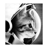 Astrocat (Print Only) thumbnail