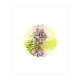 Succulent On Pink And Green (Print Only) thumbnail
