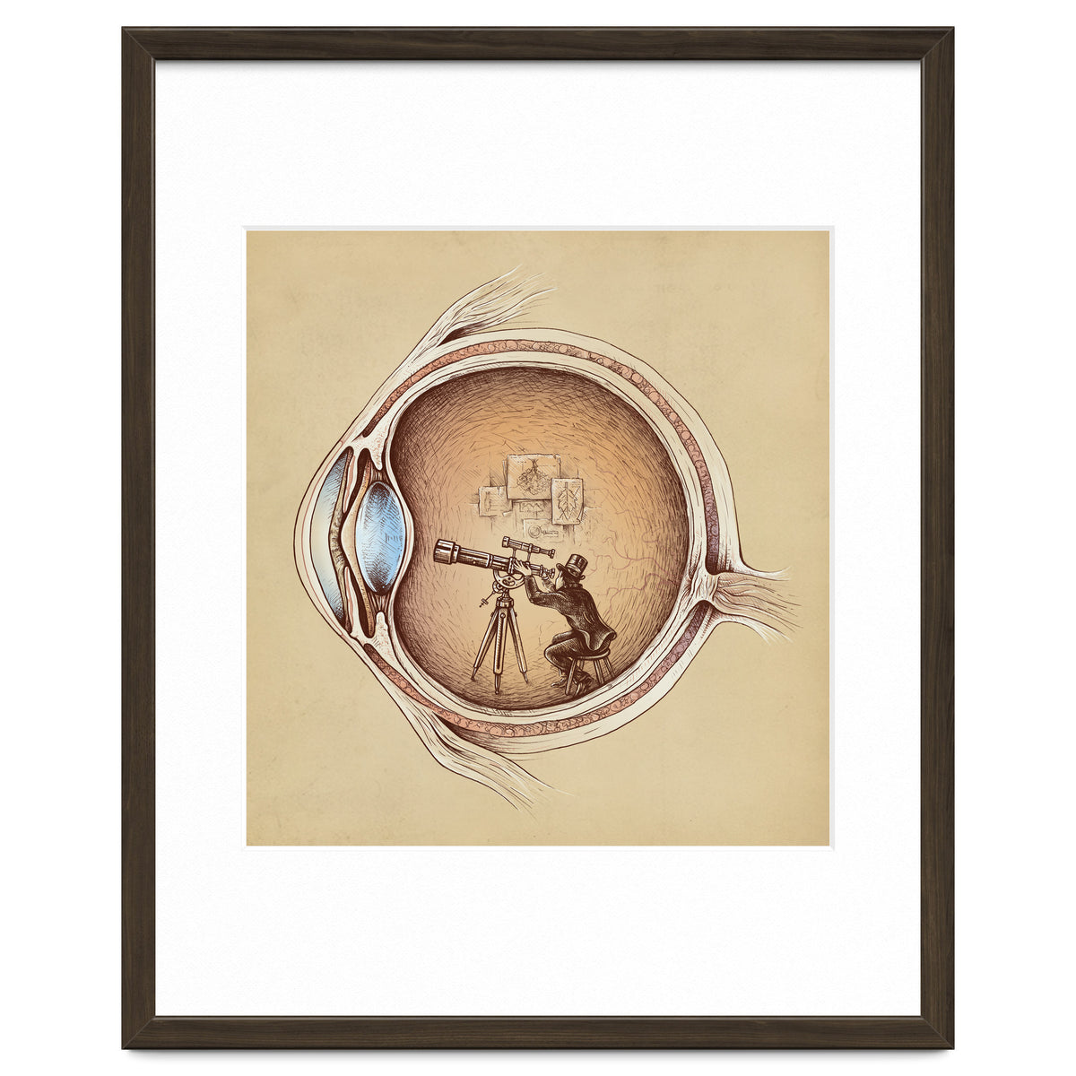 Extraordinary Observer