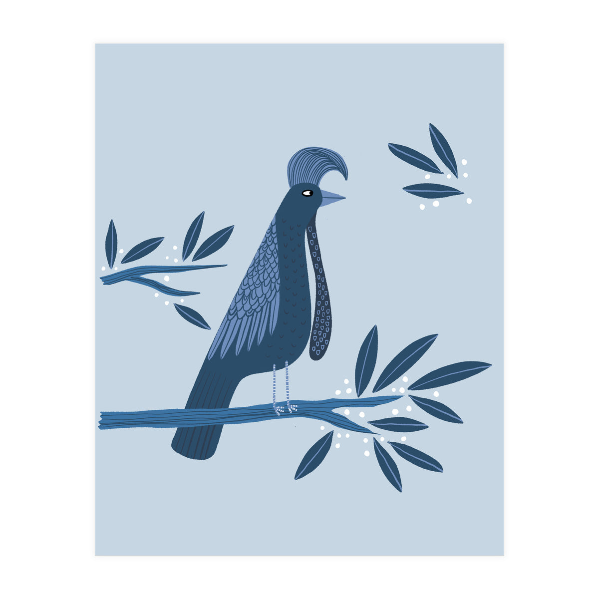 Umbrellabird (Print Only)