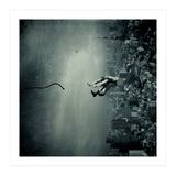 Vacation (Print Only) thumbnail