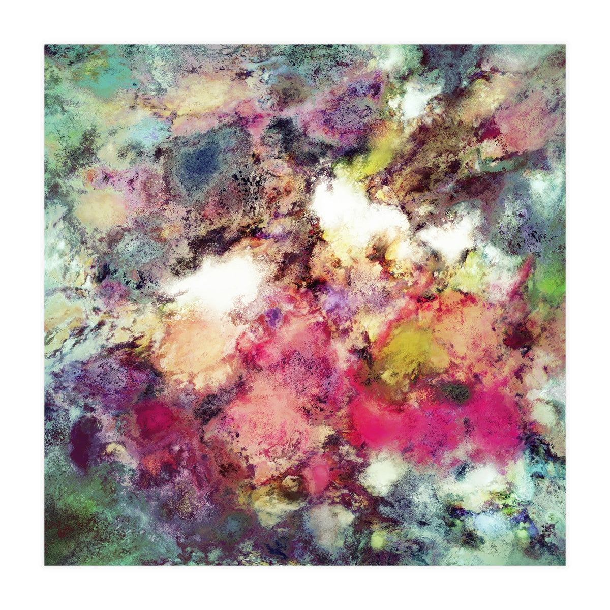 Raspberry Rocks (Print Only)