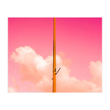 The Pink Half (Print Only) thumbnail