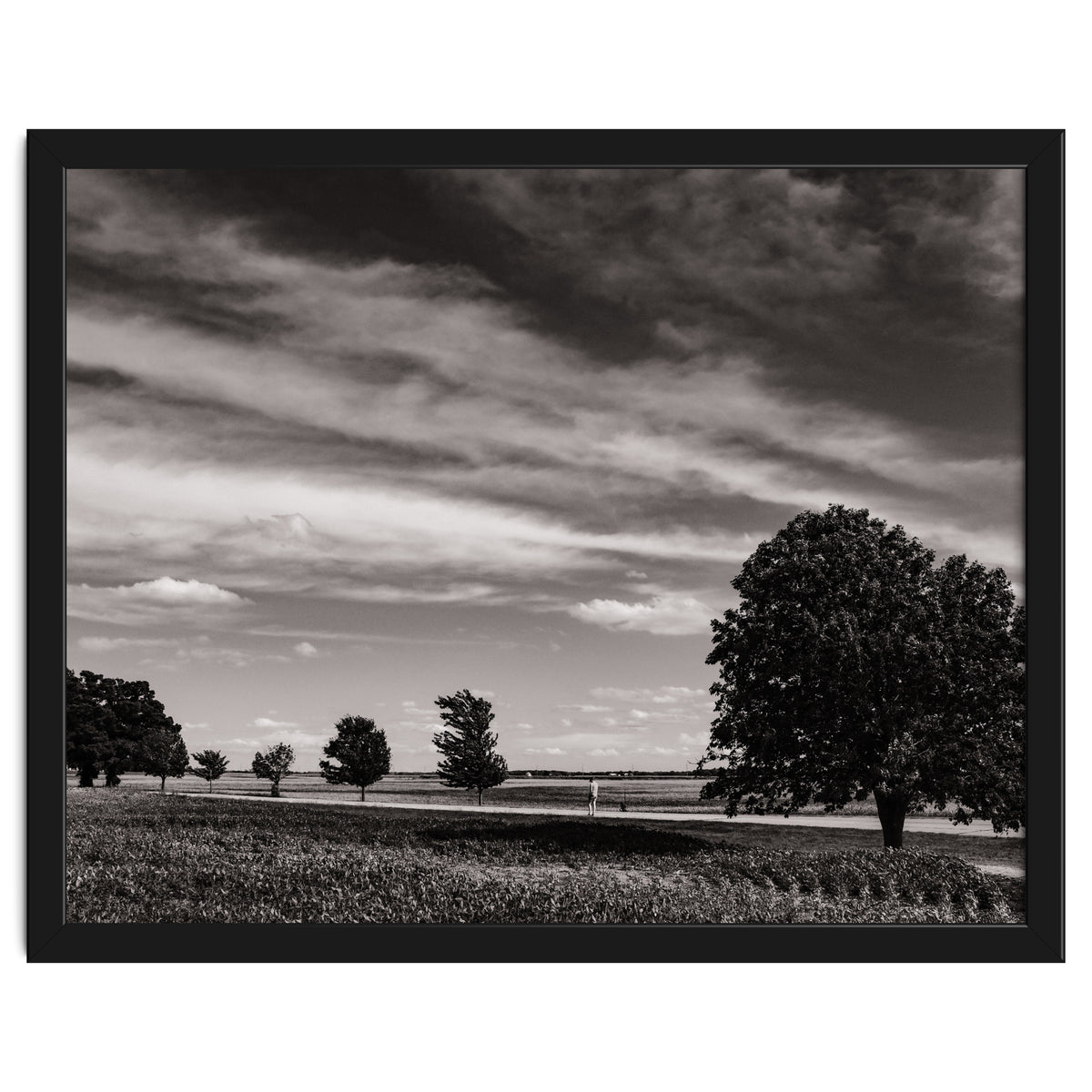 Country Road, Illinois