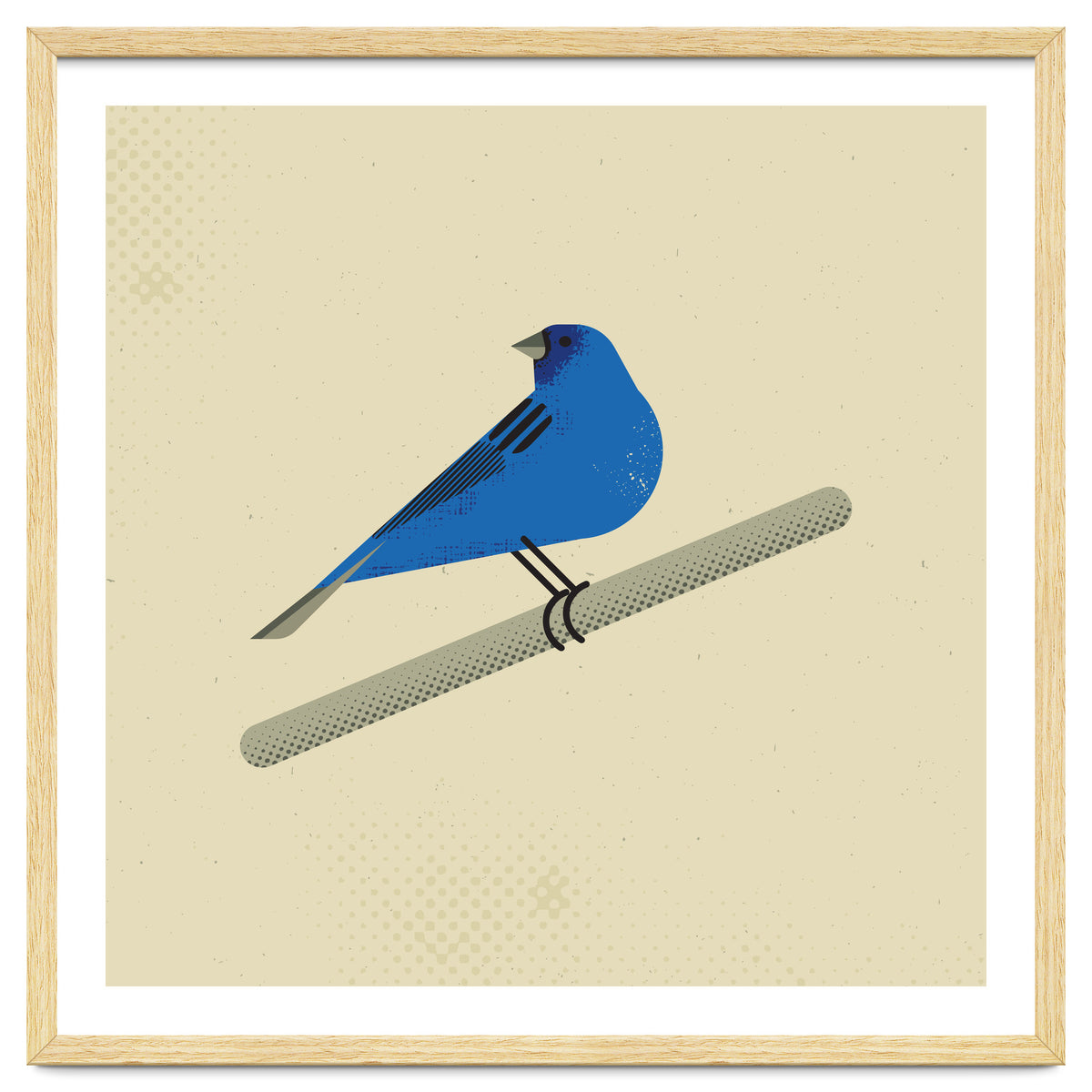 Indigo Bunting