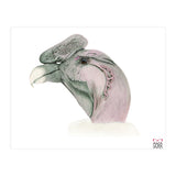 Andean condor (Print Only) thumbnail