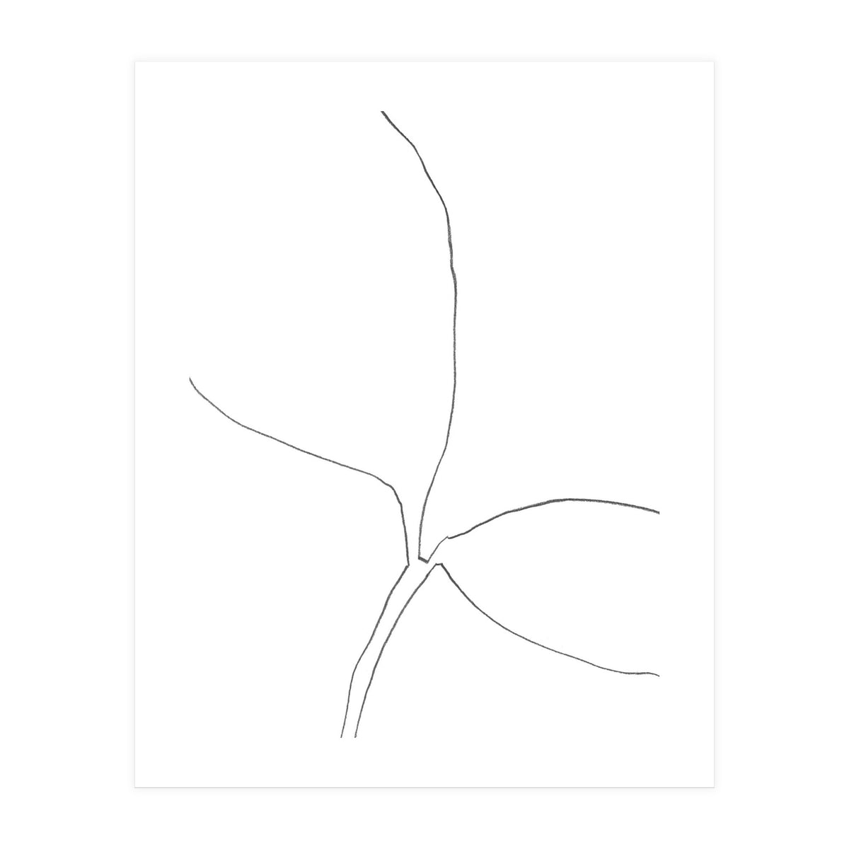 Seedling Leaning Right (Print Only)