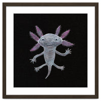 Axolotl