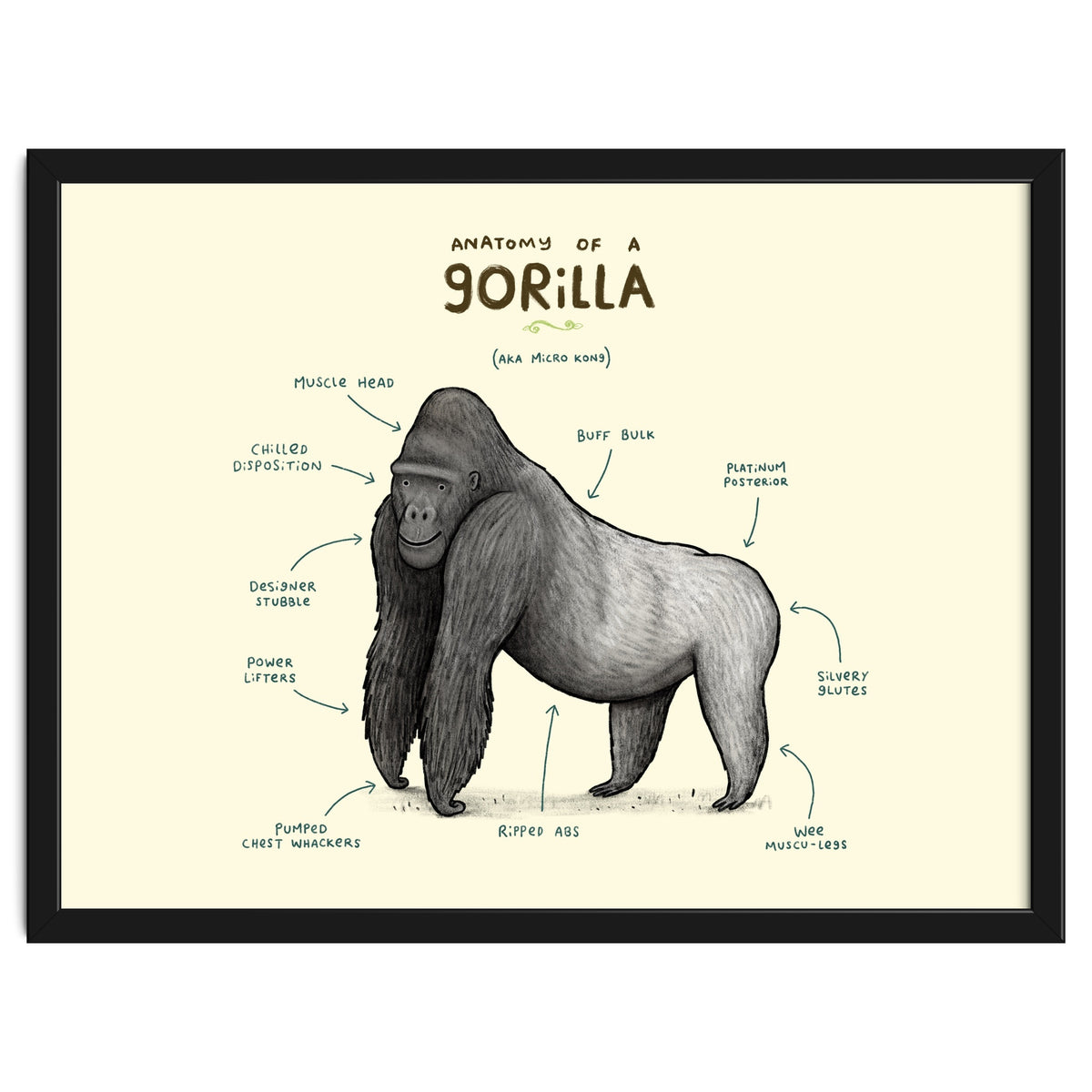 Anatomy of a Gorilla
