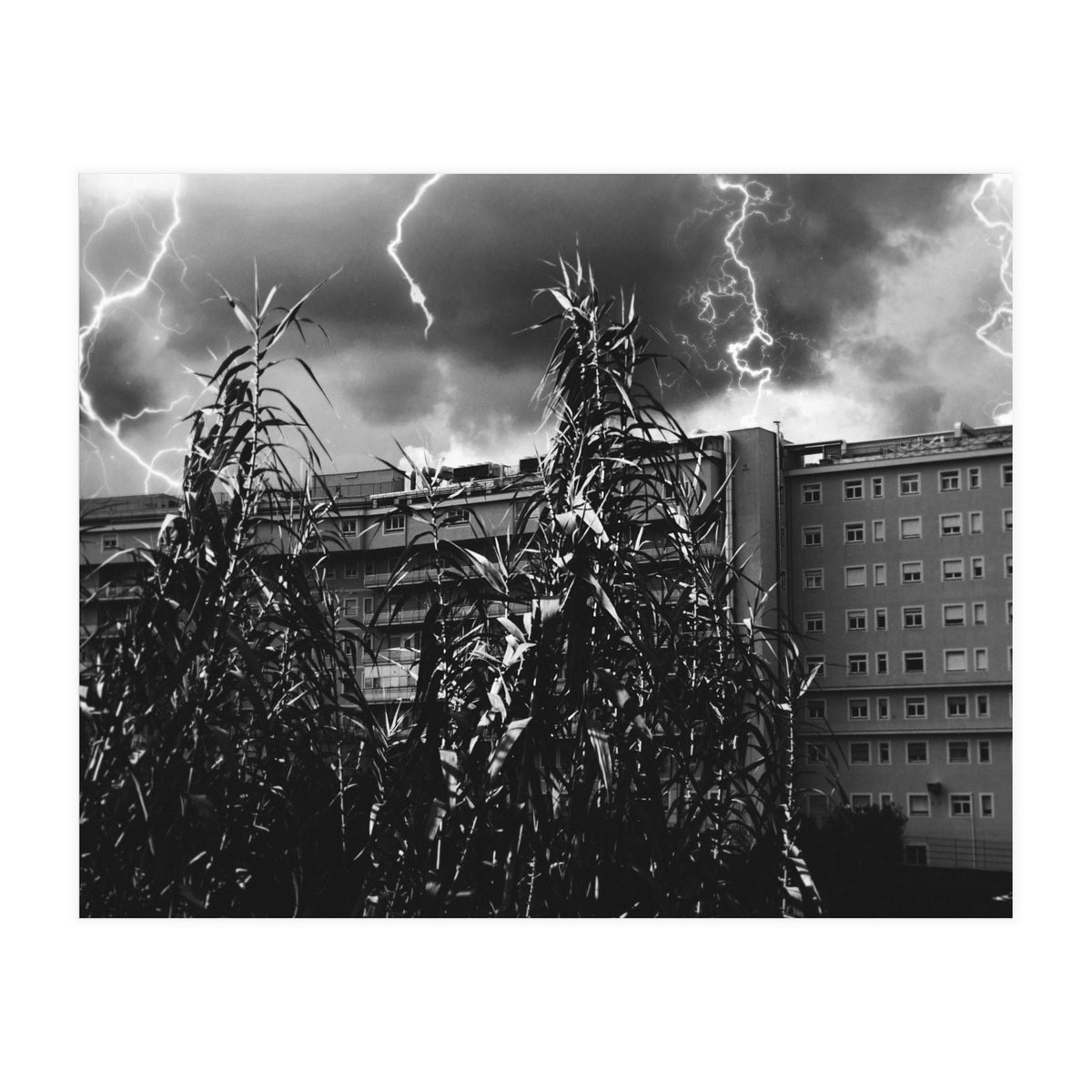 Thunderstorm in Tivoli (Print Only)