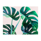 Wild Leaves (Print Only) thumbnail