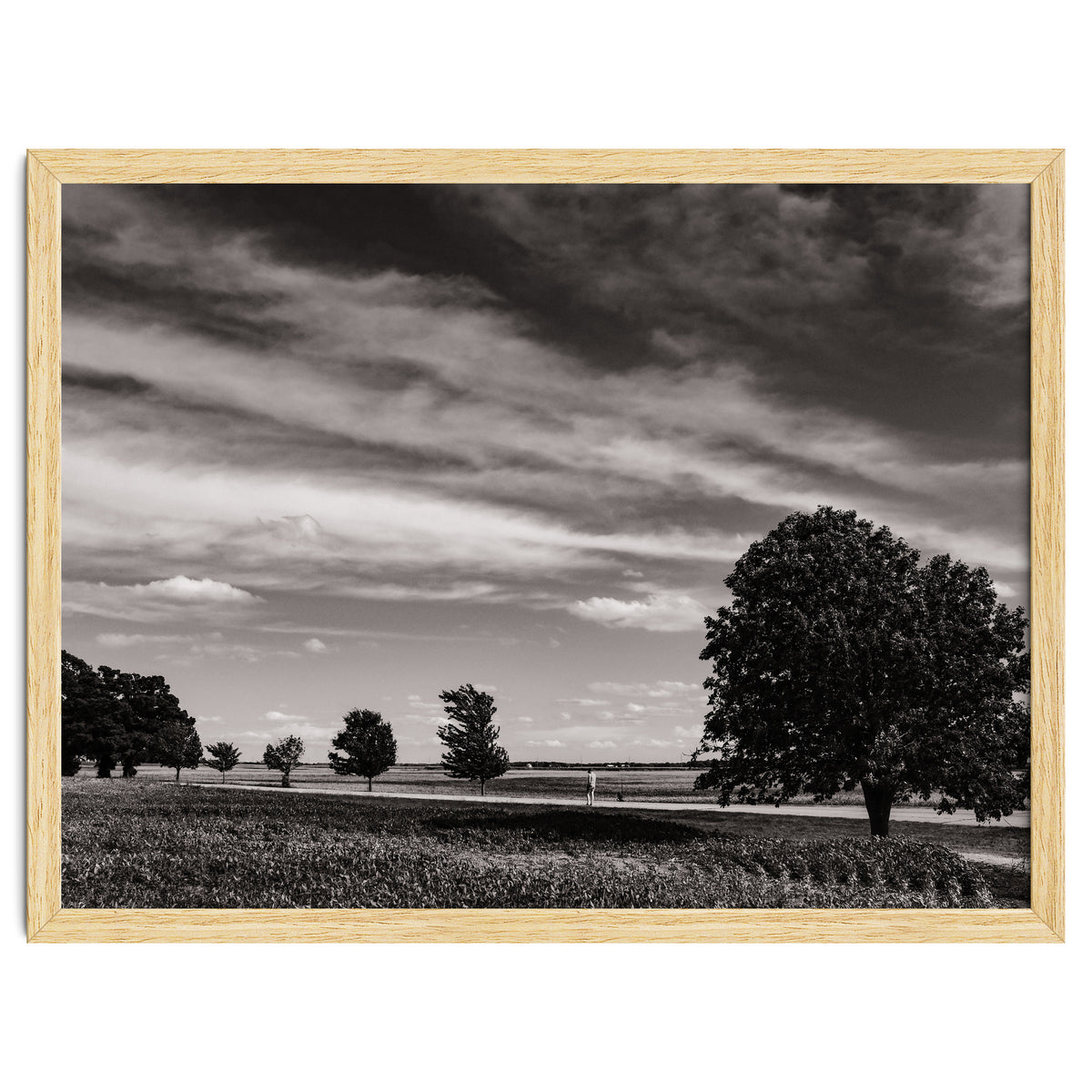 Country Road, Illinois