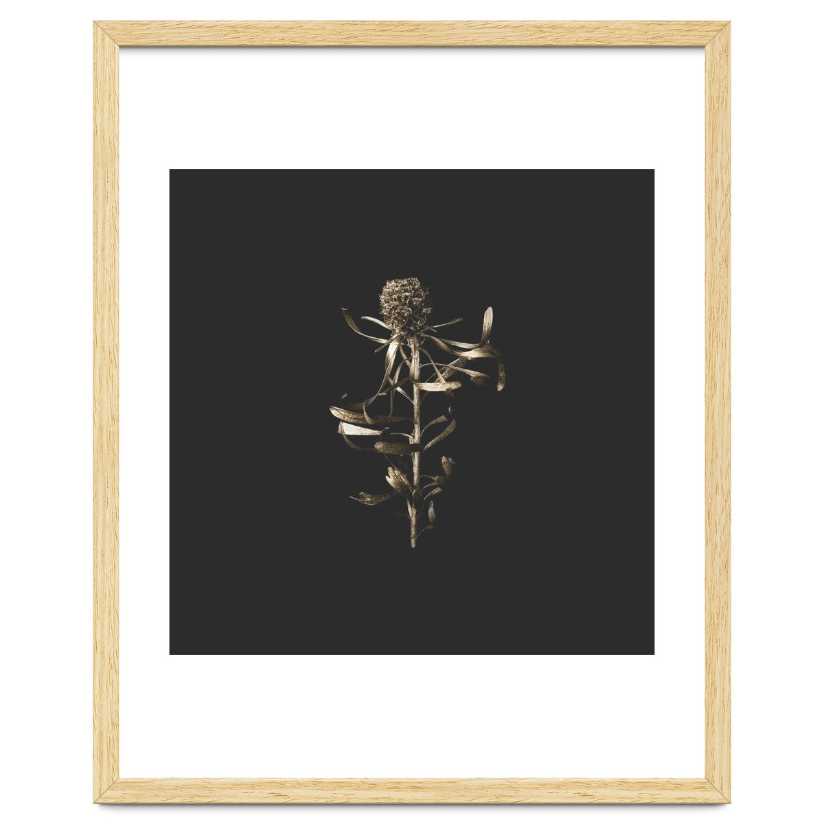 Golden Botanicals -  Square