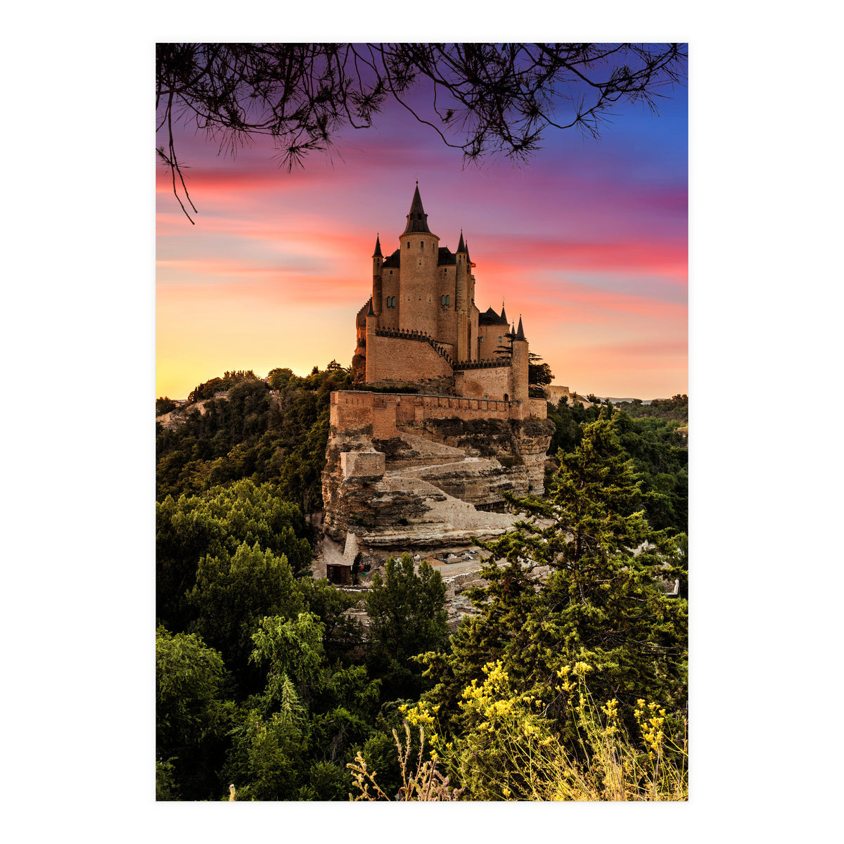 Daydream (Print Only)