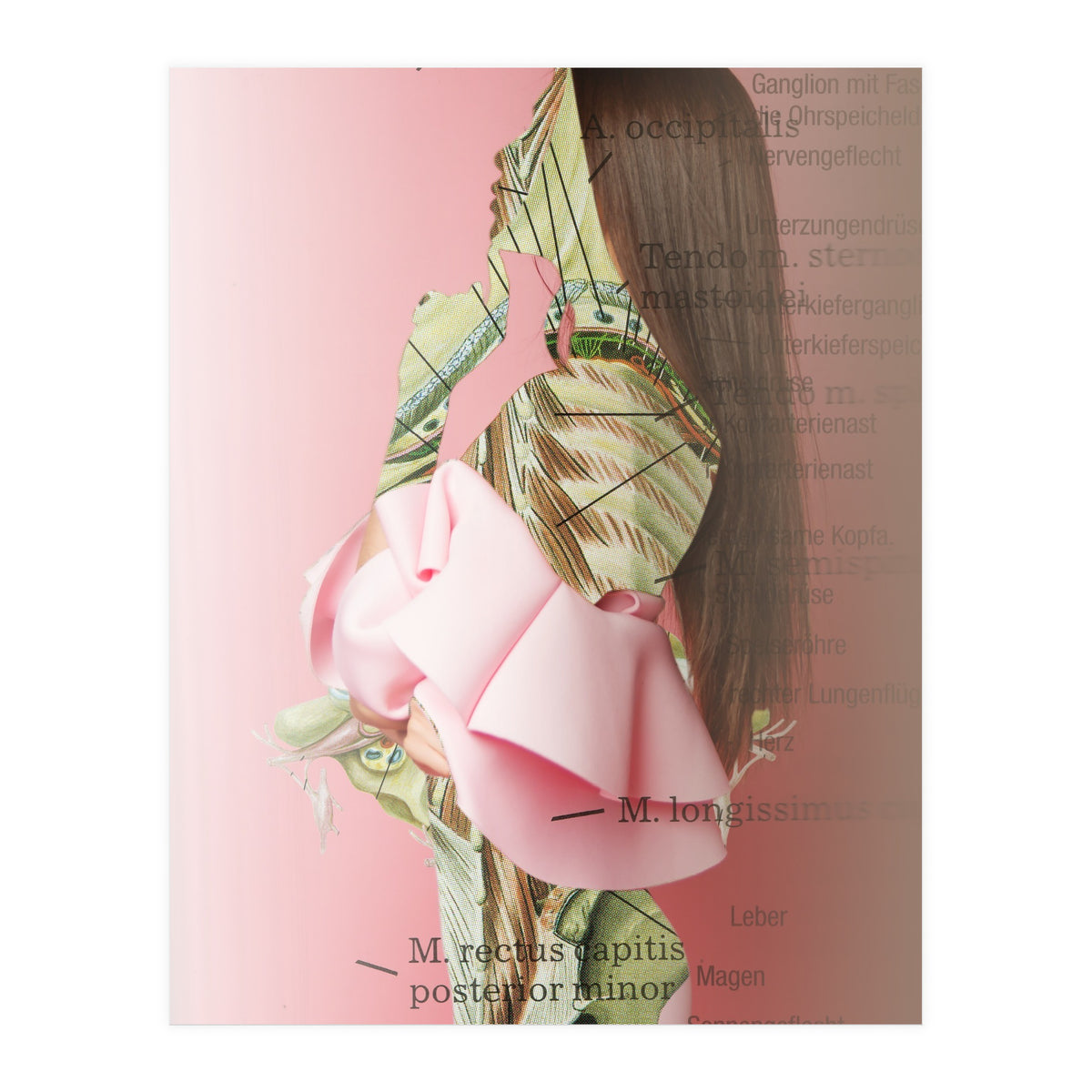 Crazy Woman 201 (Print Only)