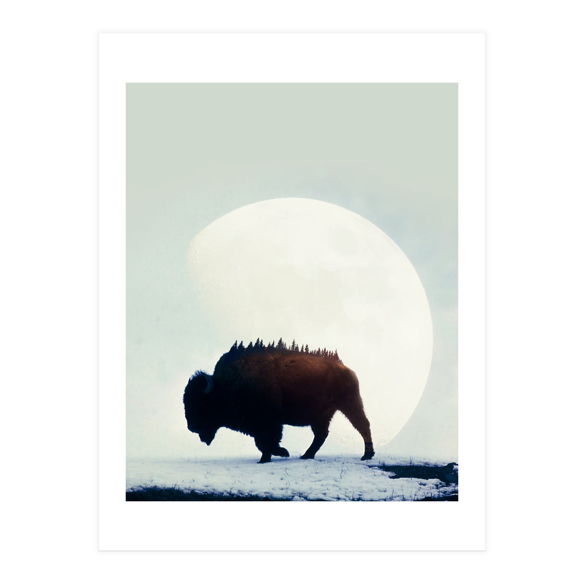 Wild West (Print Only)