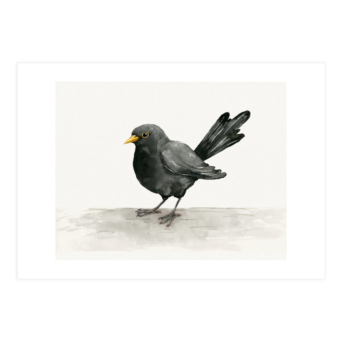 Blackbird ink drawing (Print Only)