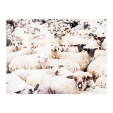 The Herd (Print Only) thumbnail