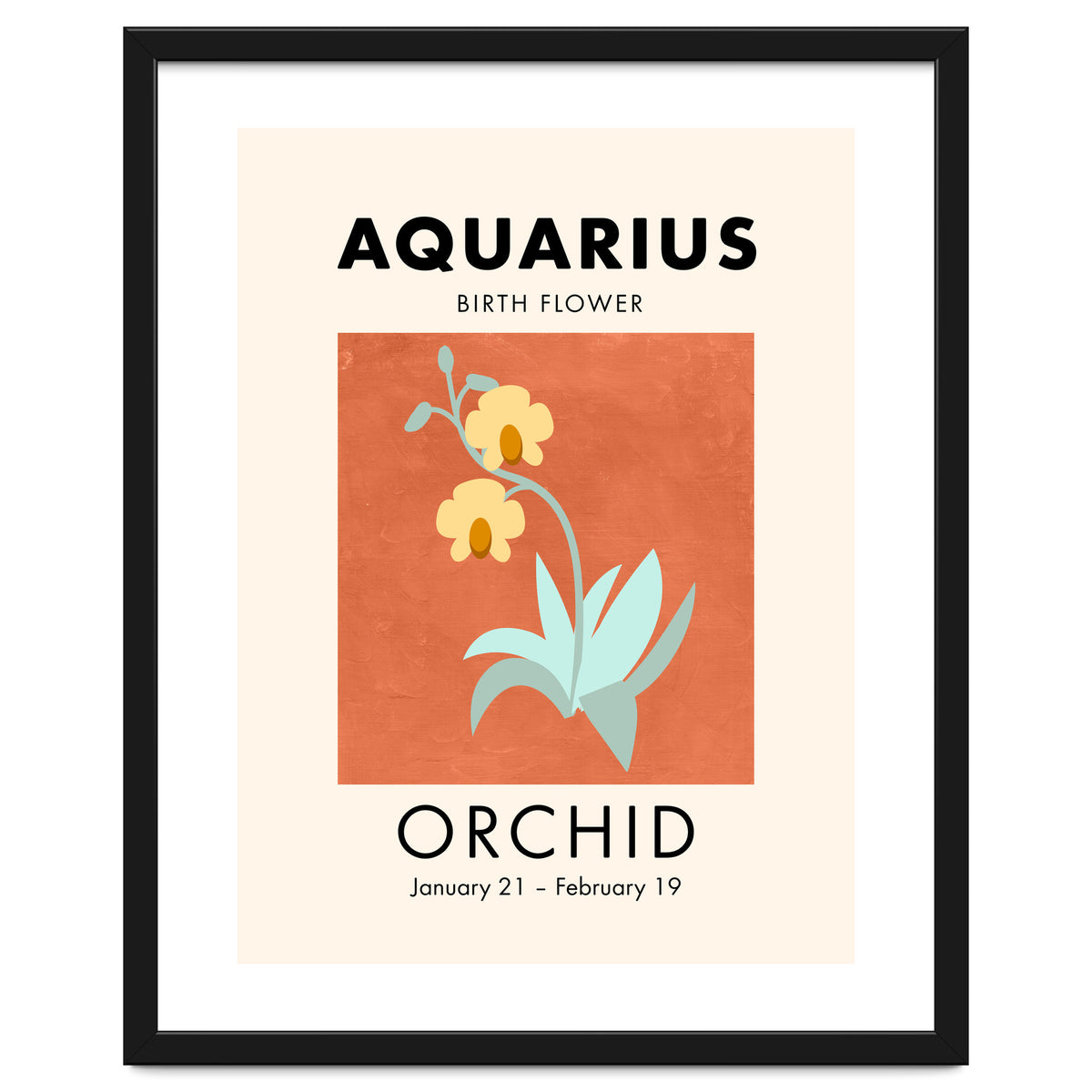 Aquarius Birth Flower Orchid