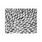 Black and white petal burst (Print Only) thumbnail