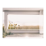GRASS BY THE WINDOW (Print Only) thumbnail