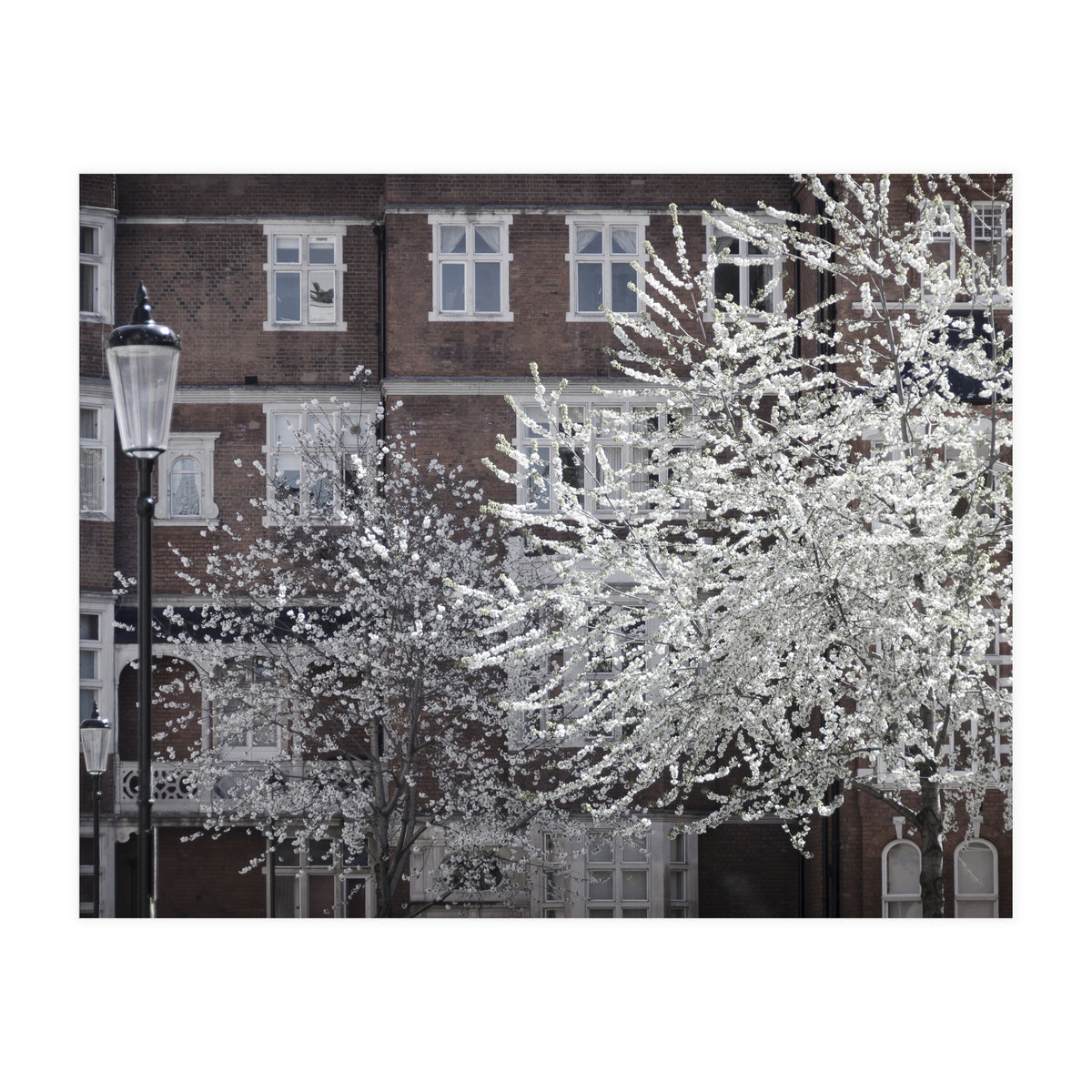 Chelsea Spring  (Print Only)