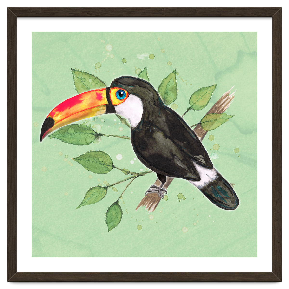 Toco toucan
