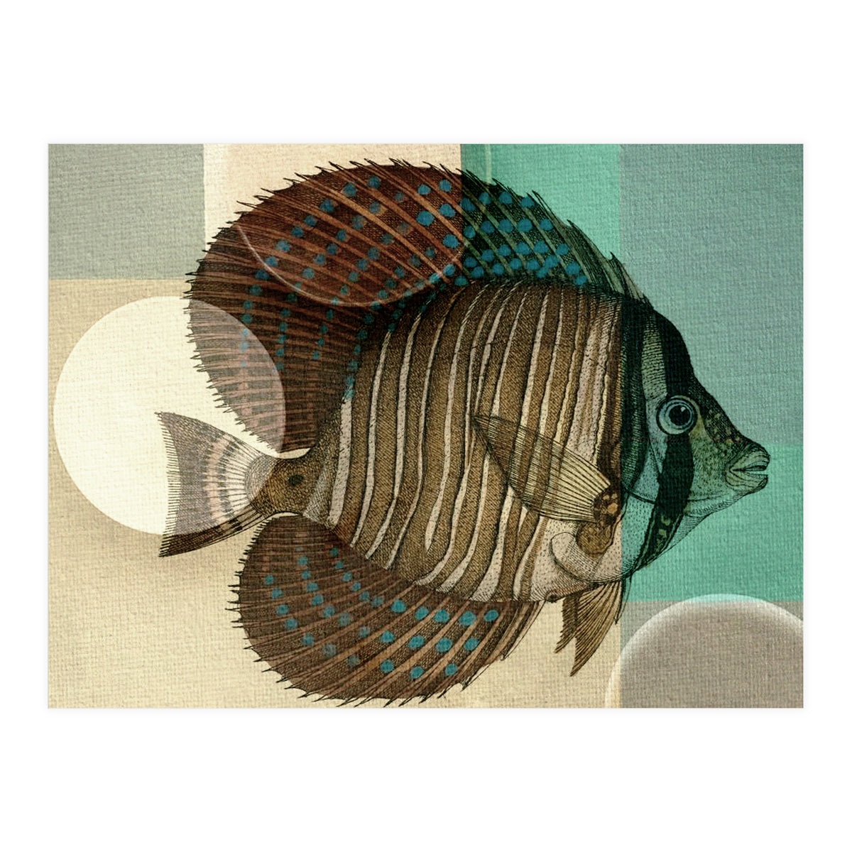 Fish Between Circles 4 (Print Only)