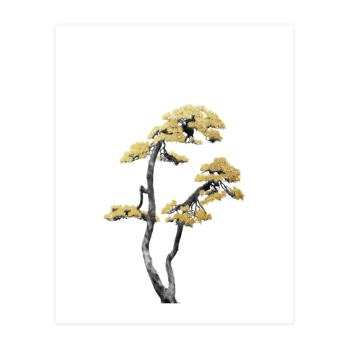 Bonsai Tree 06 (Print Only)