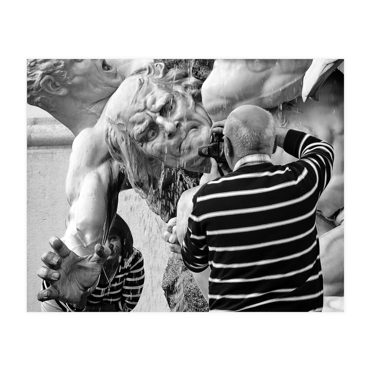 Snapshot (Print Only)