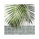 Palm Leaves On White Marble And Tiles (Print Only) thumbnail