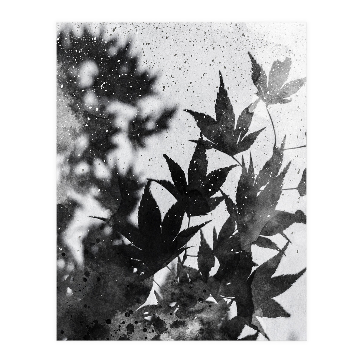 Leaves #2 (Print Only)