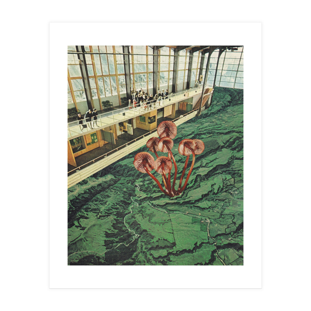 Mushroom Greenhouse (Print Only)