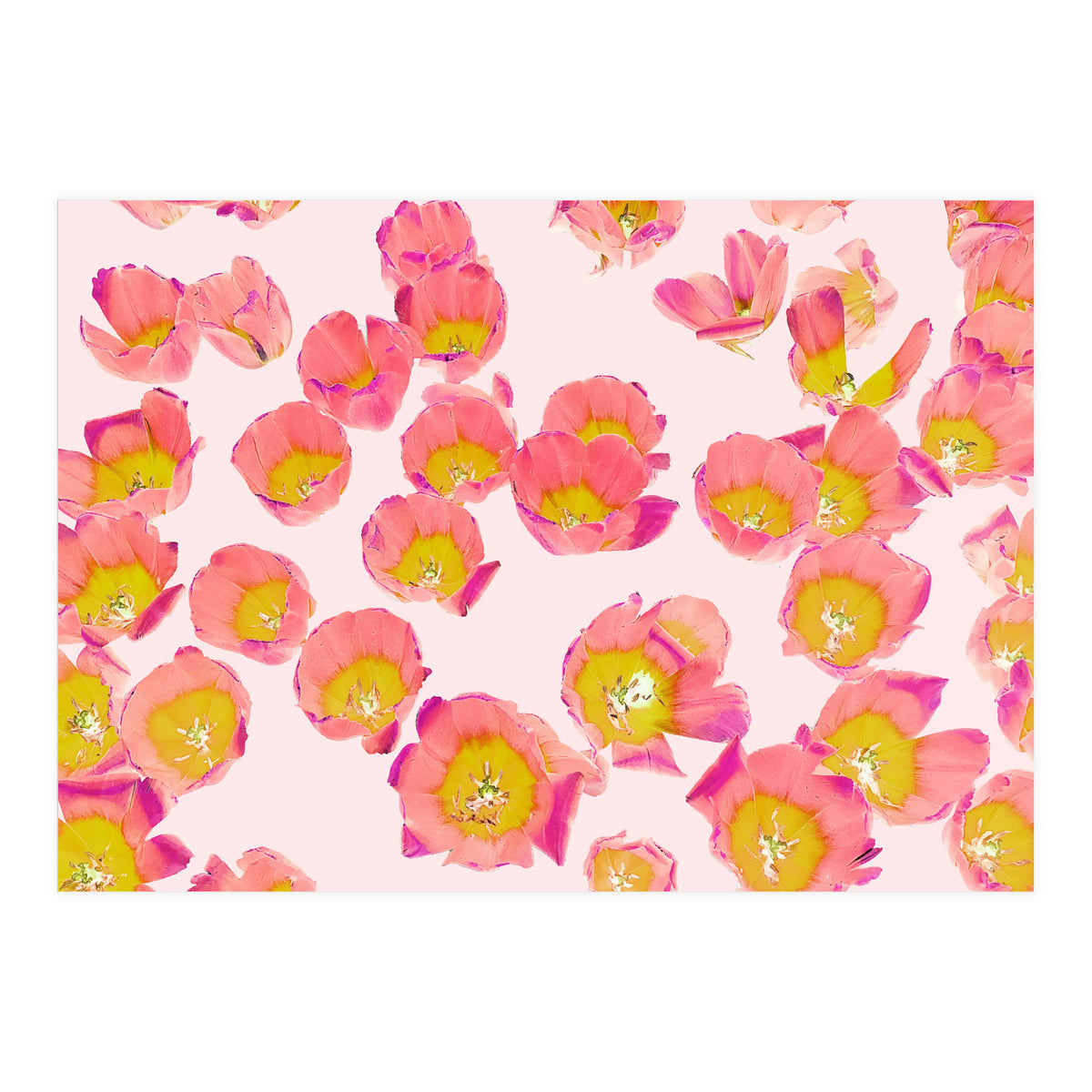 Flower Therapy (Print Only)