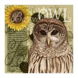 Sunflowers and Barred Owl (Print Only) thumbnail
