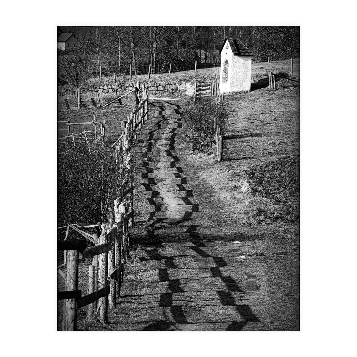 Forestry path (Print Only)