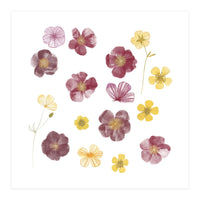 Pressed Flowers (Print Only)
