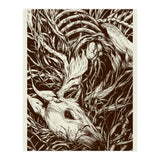 Doeeyed (Print Only) thumbnail