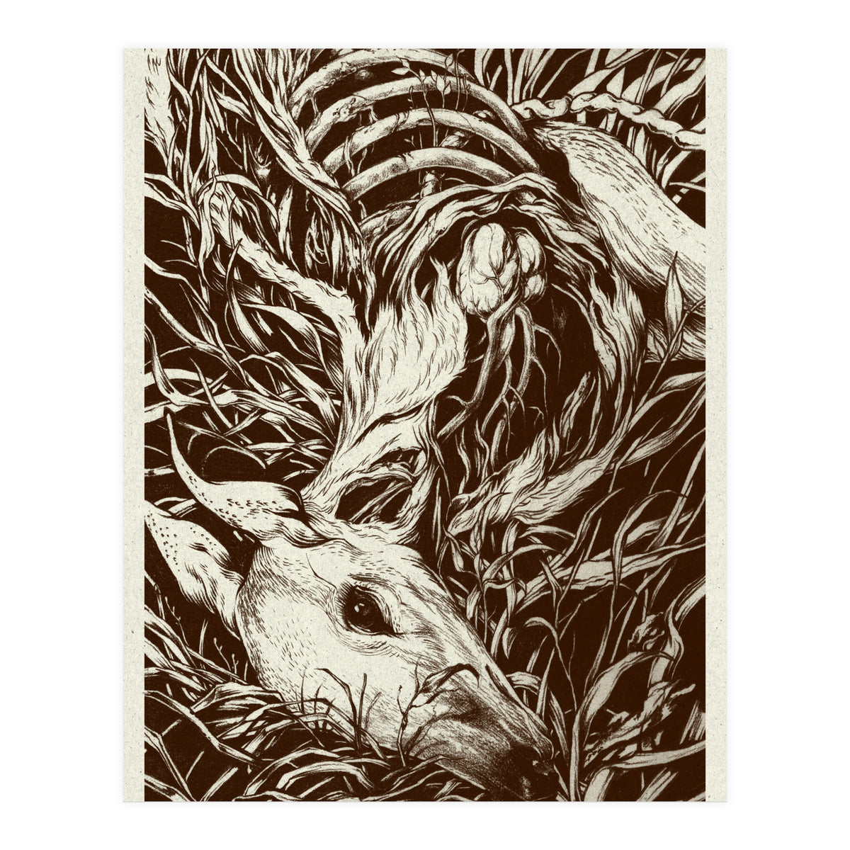 Doeeyed (Print Only)