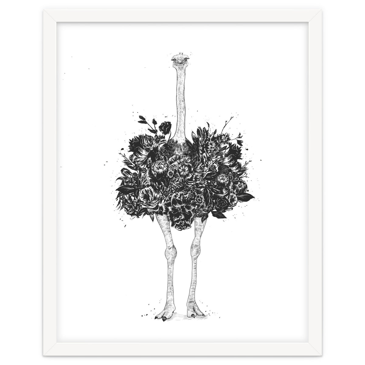 Floral Ostrich