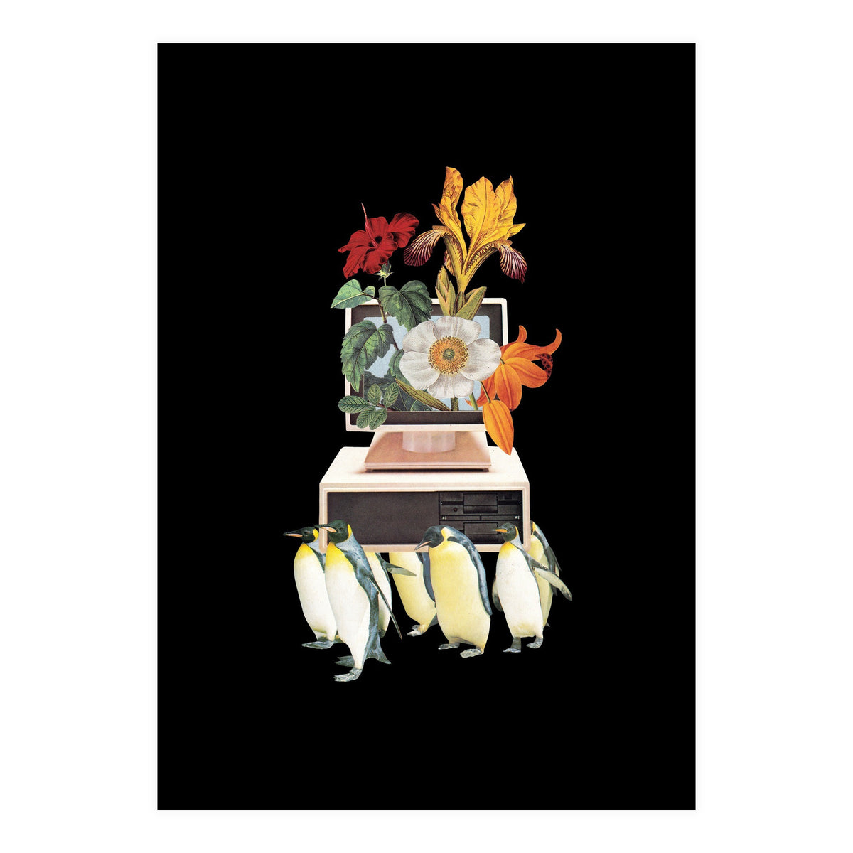 Penguin Os (Print Only)